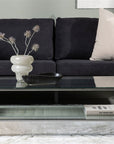 Maglehem Coffee Table - Silver Chrome / Clear glass - vivahabitat.com