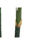 Dekorationspflanze DKD Home Decor Polypropylen Palme 100 x 100 x 230 cm